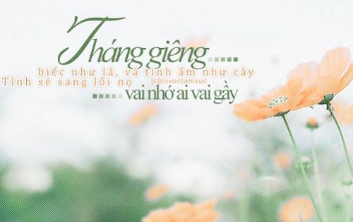 stt-chao-e-co-gai-thang-1-yeu-thuong-2 stt chào e cô gái tháng 1 yêu thương