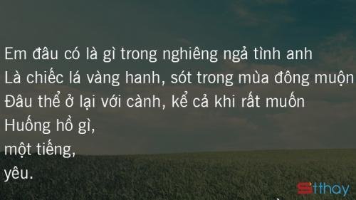 Stt em là gì giữa bộn bề cuộc đời anh, là gì trong trái tim anh ?