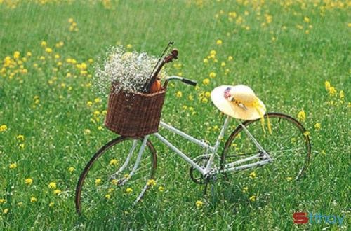 Stt hay, ý nghĩa về tâm trạng chất chứa những suy tư