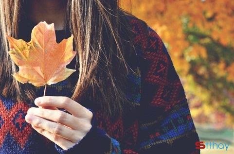 Stt mùa thu se lạnh e bâng khuâng đi qua những con đường lá vàng nhuốm màu ký ức 