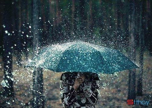 stt mua và những nỗi nhớ khôn nguôi, mưa thổi vào lòng người những dòng cảm xúc 