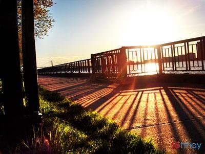 Stt nắng tháng năm buông những chùm hoa nắng rực rỡ khiến trái tim mỗi người rạo rực hè về