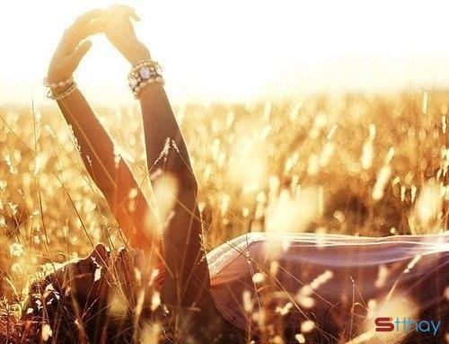 Stt nắng tháng năm buông những chùm hoa nắng rực rỡ khiến trái tim mỗi người rạo rực hè về