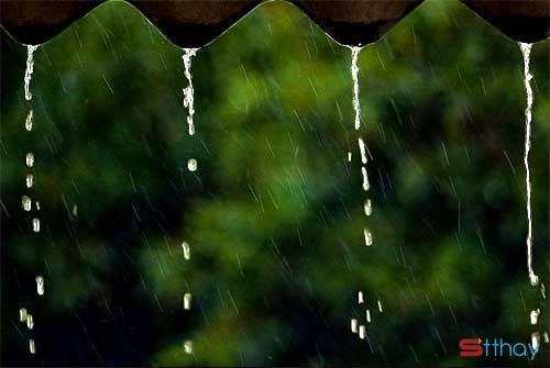 Stt tâm trạng Tháng Ba, mưa Hà Nội đong đầy những nỗi nhớ