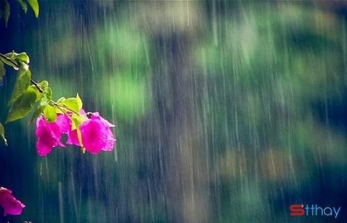 Stt tâm trạng Tháng Ba, mưa Hà Nội đong đầy những nỗi nhớ