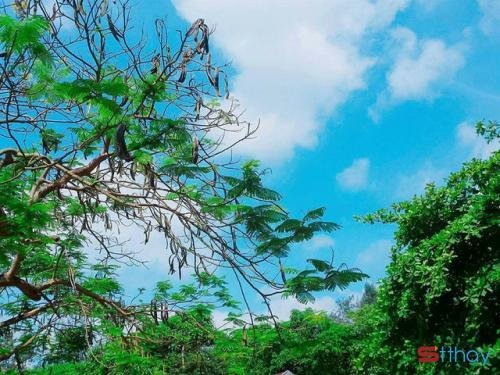 Stt tản mạn những câu nói hay về tình yêu mà bạn không thể bỏ qua
