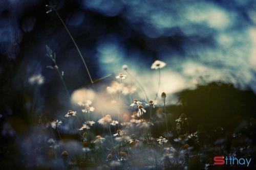 Stt tháng 4 Tháng tư về rồi em ạ, bước qua tổn thương rồi thì hãy cảm nhận hạnh phúc đi em