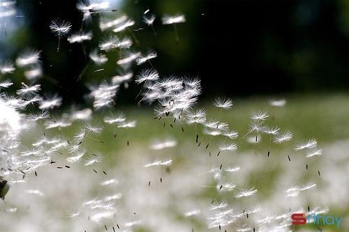 Stt tháng 4 Tháng tư về rồi em ạ, bước qua tổn thương rồi thì hãy cảm nhận hạnh phúc đi em