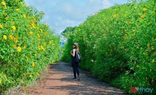 Stt tháng 10 qua đi cùng với những kỉ niệm đã xa