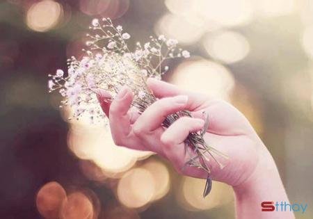 Stt tháng 10 sang nhẹ nhàng kết thúc thúc mùa hạ gay gắt