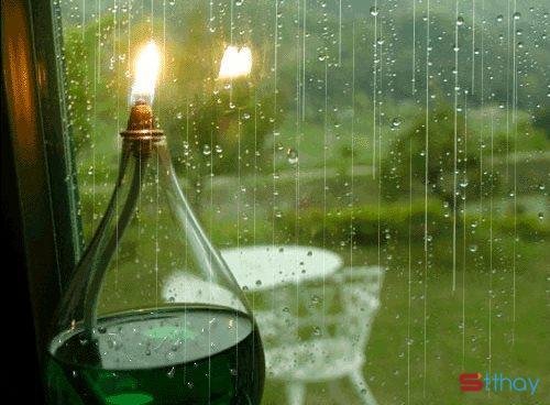 Stt tháng 7, tháng của mưa ngâu hay nước mắt của Ngưu Lang Chức Nữ