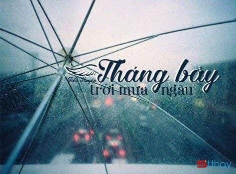 Stt tháng 7, tháng của mưa ngâu hay nước mắt của Ngưu Lang Chức Nữ