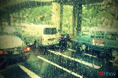 Stt tháng 5 về hanh hao trong vạt nắng ngần vàng ươm và cơn mưa đầu mùa bất chợt