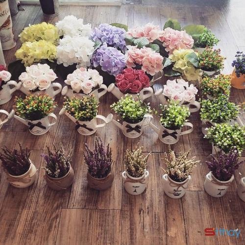 Stt tháng 7 về mang cho chúng ta những cảm xúc ưu tư