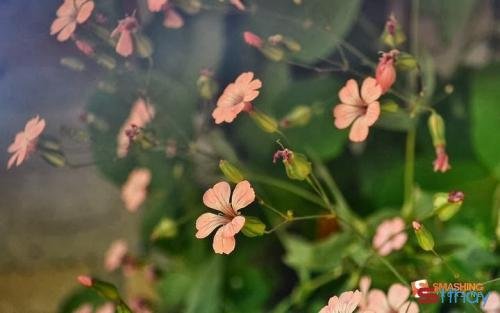 Stt tháng 11 về ta bắt đầu những mối quan hệ mới