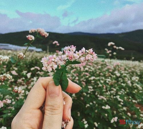 Stt tháng 10 về với chớm mùa hoang lạnh và những miền nhớ đã xa