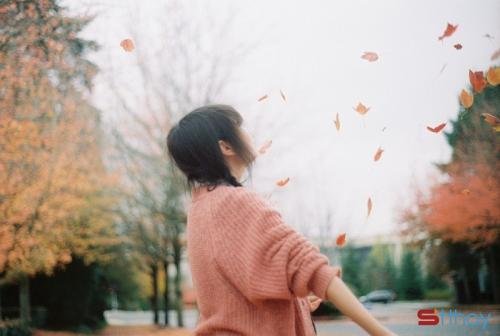 Stt tháng 10 về với chớm mùa hoang lạnh và những miền nhớ đã xa