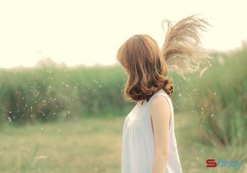 Stt thất tình buồn nhất khi hết yêu thì đừng níu kéo để người ta thương hại 
