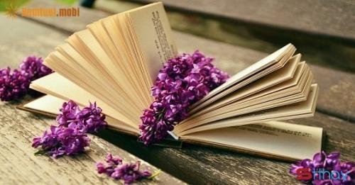 Stt thu đang đi qua với nhứng cảm xúc nuối tiếc và những ký ức ùa về
