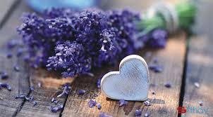 Stt tuổi 15 hãy cứ ngây thơ hãy cứ dại khờ em nhé