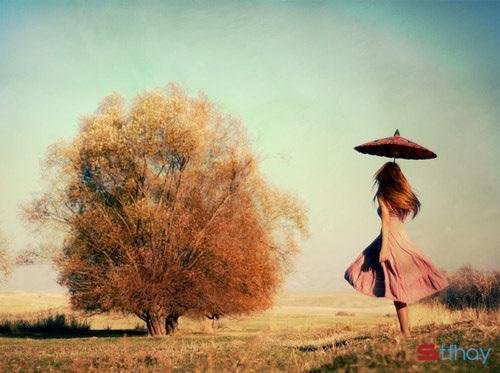 Stt về cô gái tháng 11 bướng bỉnh, kiêu hãnh như cơn mưa đỏng đảnh khúc giao mùa