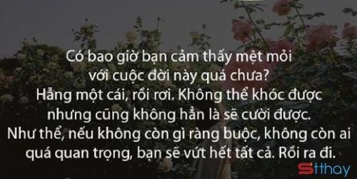 Stt về cuộc đời chán nản, mệt mỏi và bỗng dưng muốn đến một nơi thật xa