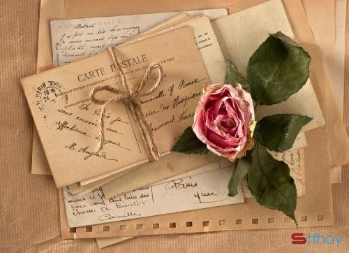 Stt về những chuyện đã qua hãy cất vào một góc để lòng được nhẹ nhàng hơn