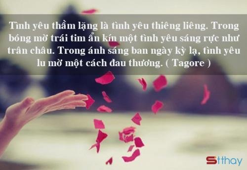 Stt về tình yêu thầm lặng đau thương nhất nhưng cũng mạnh mẽ nhất