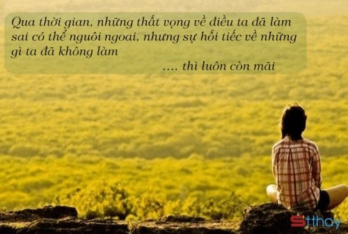 Stt về tuổi trẻ với những nuối tiếc in dấu nơi đáy tim