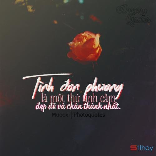 Stt viết cho chàng trai đơn phương Anh sẽ âm thầm lặng lẽ yêu em