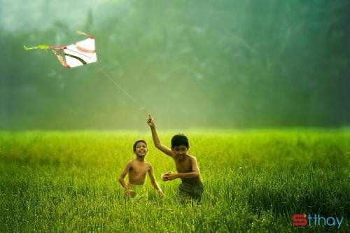 Stt viết cho ước muốn trở về tuổi thơ với những tháng năm dại khờ, dữ dội
