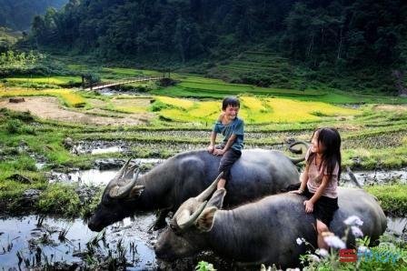 Stt viết cho ước muốn trở về tuổi thơ với những tháng năm dại khờ, dữ dội