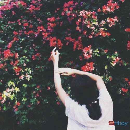 stt yêu đơn phương là thứ tình yêu đau đớn nhất