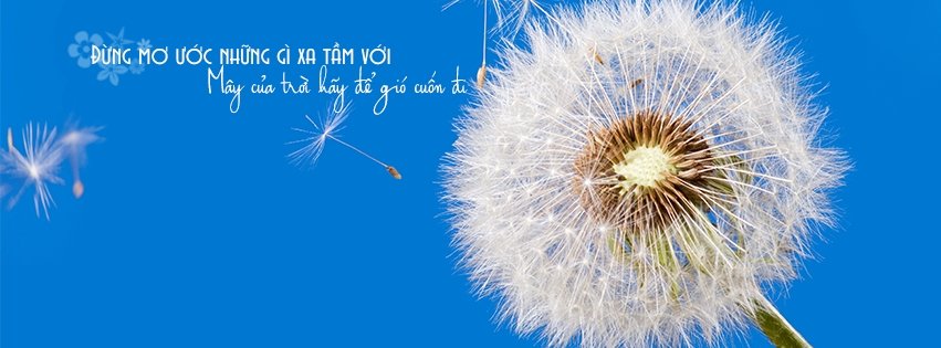 Những câu nói hay về ước mơ phần 6
