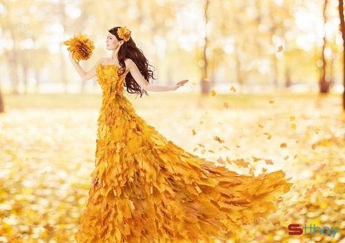Tháng 9 về, cùng nhau đọc những status hay nhất về mùa thu