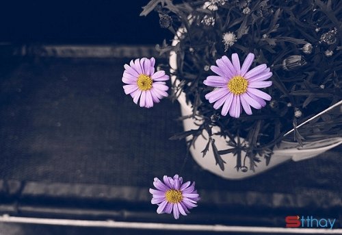 Thất tình có gì đáng sợ, chỉ là hết duyên thôi mà