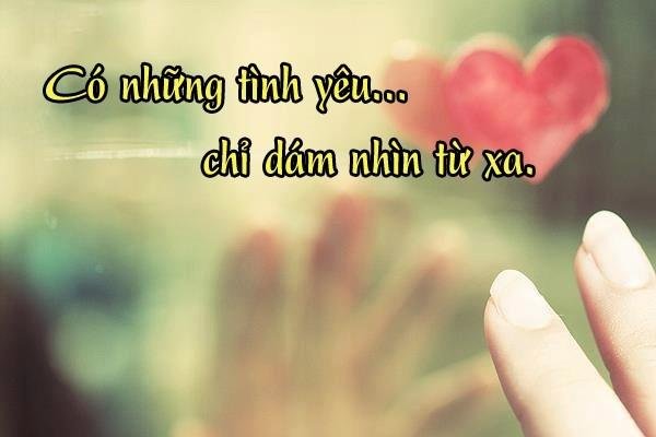stt hay về tình yêu