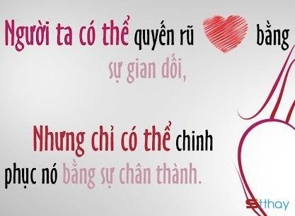 Tổng hợp Stt về sự thành thật trong tình yêu sâu sắc khiến bạn phải suy ngẫm