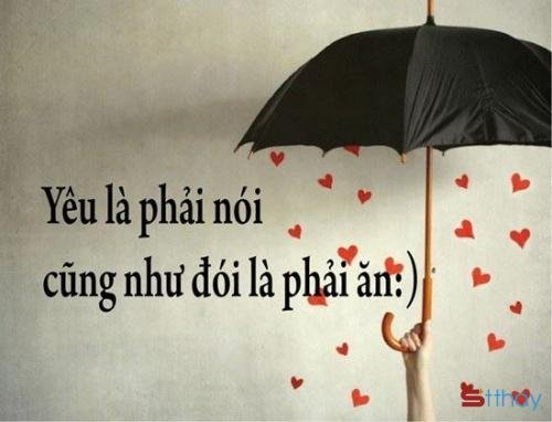 Tổng hợp một số status cực hài hước trong cuộc sống