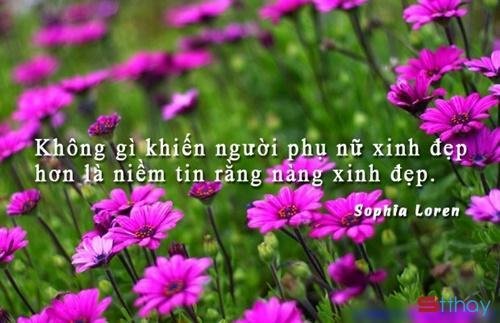 Tổng hợp những status hay và ý nghĩa nhất dành cho phái đẹp