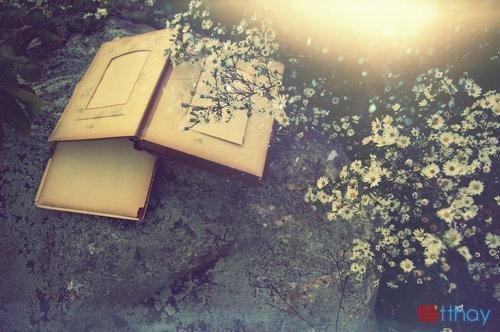 Tổng hợp những status cảm xúc nhất về tháng 11 heo may