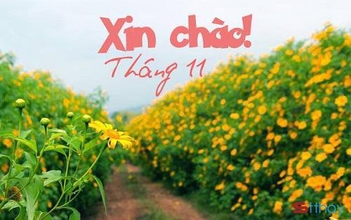 Tổng hợp những status cảm xúc nhất về tháng 11 heo may