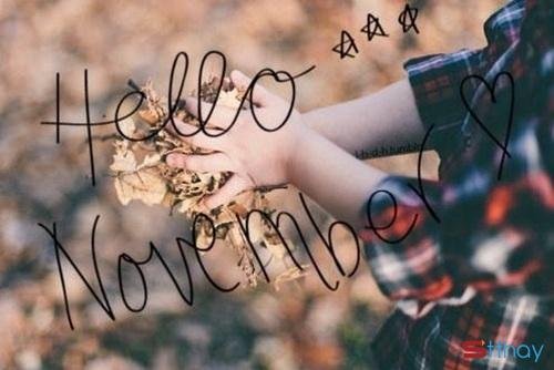 Tổng hợp những status cảm xúc nhất về tháng 11 heo may