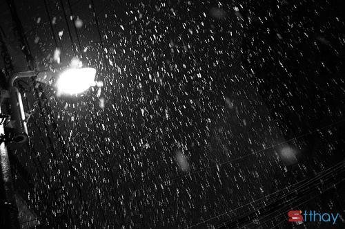 Tổng hợp những stt hợp cảnh ngày mưa hay cho cơn “bão lòng”