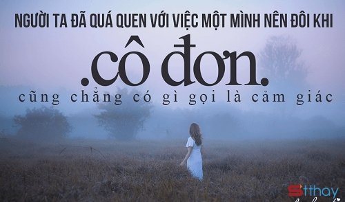 Tổng hợp những stt tâm trạng hay nhất dành cho bạn khi đêm về