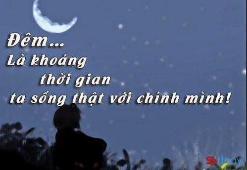 Tổng hợp những stt tâm trạng hay nhất dành cho bạn khi đêm về