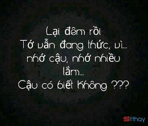 Tổng hợp status tâm trạng hay nhất trong ngày trời trở gió
