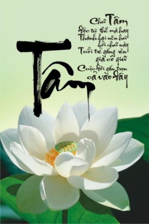 Hình nền đẹp nhất cho điện thoại