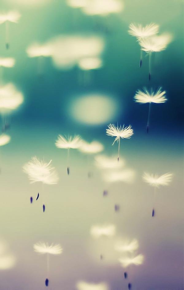 Hình nền đẹp nhất cho điện thoại