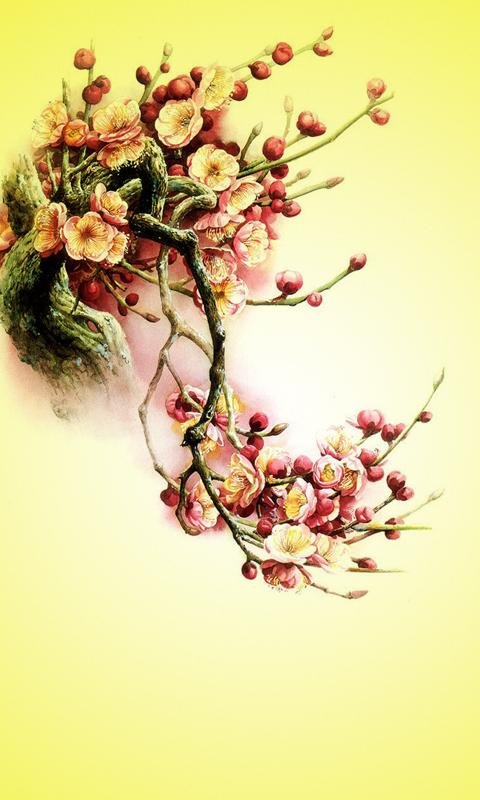 Hình nền đẹp nhất cho điện thoại